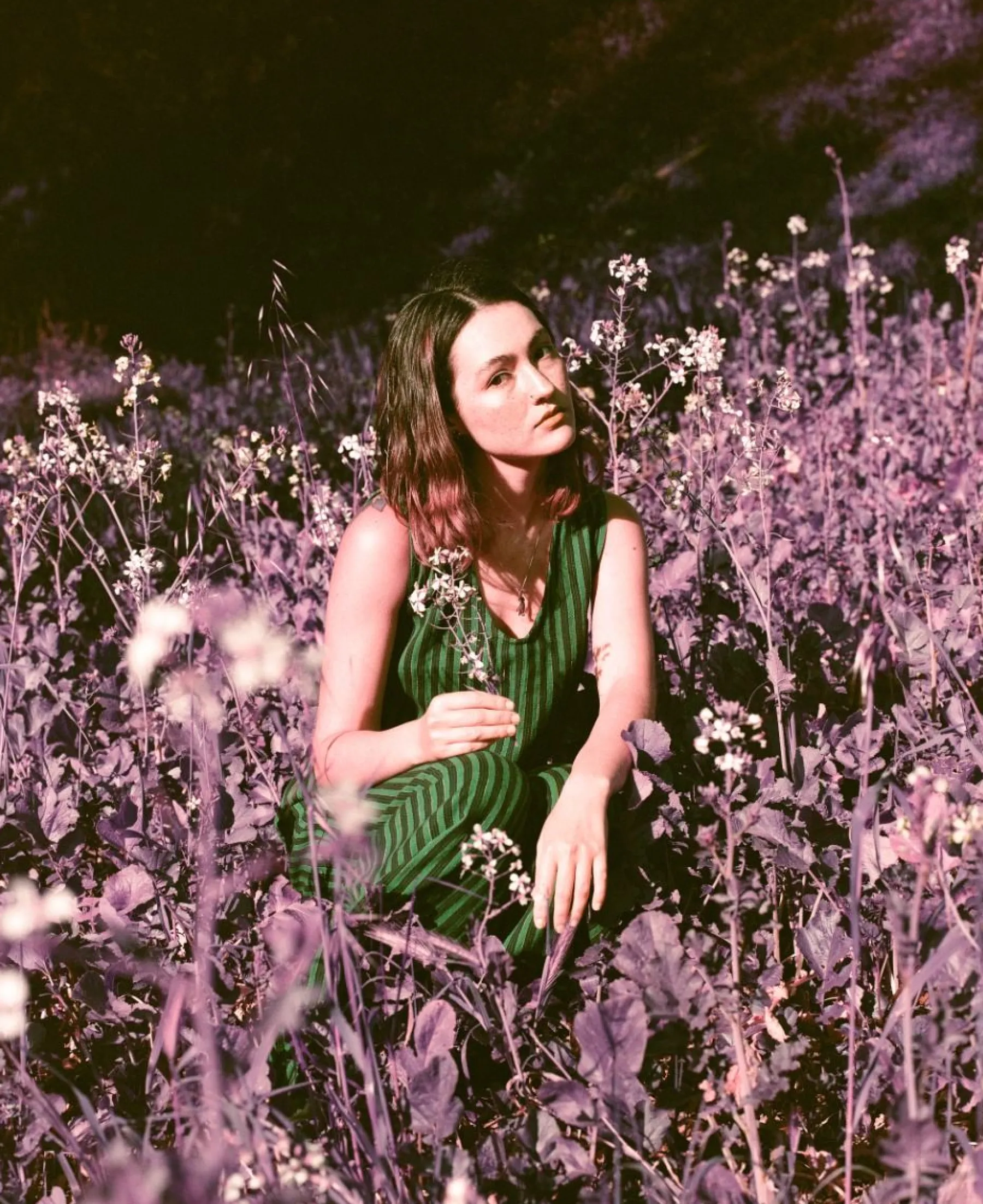 New 2021 LomoChrome Purple Pétillant 120 ISO 100–400 Lomochrome Films|120 Film