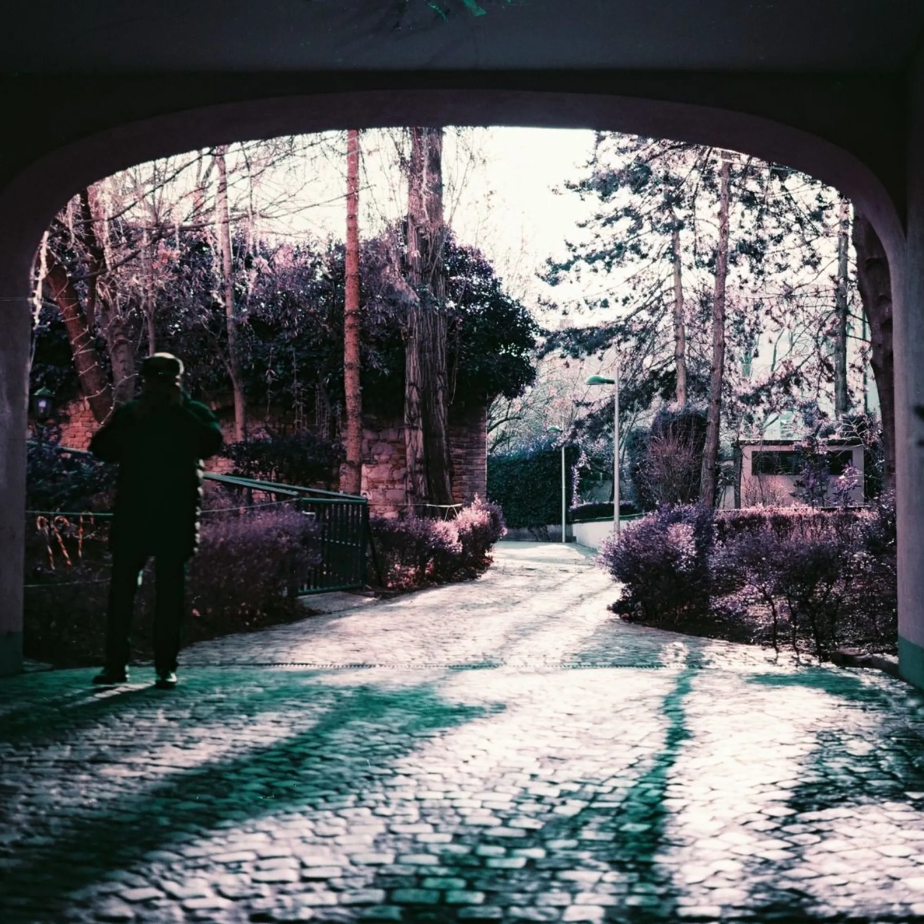 New 2021 LomoChrome Purple Pétillant 120 ISO 100–400 Lomochrome Films|120 Film