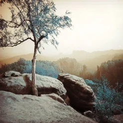 Sale 2021 LomoChrome Turquoise 120 ISO 100–400 Lomochrome Films|120 Film