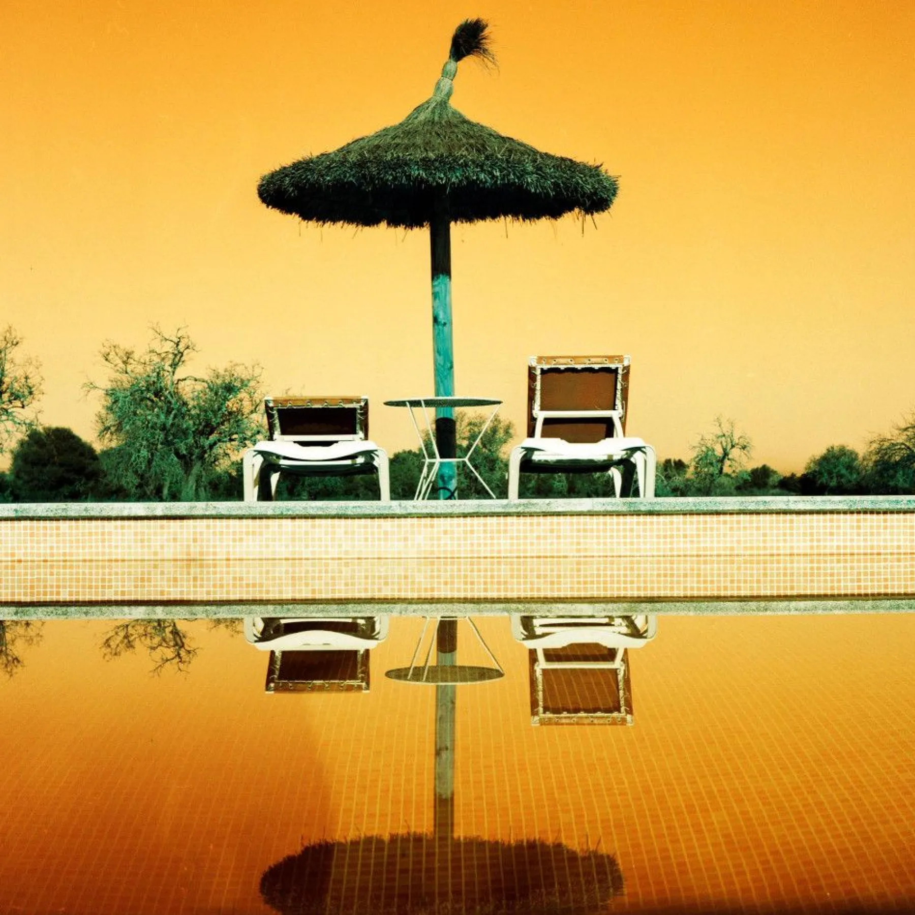 Best Sale 2021 LomoChrome Turquoise 35 mm ISO 100–400 Lomochrome Films|35 Mm Film