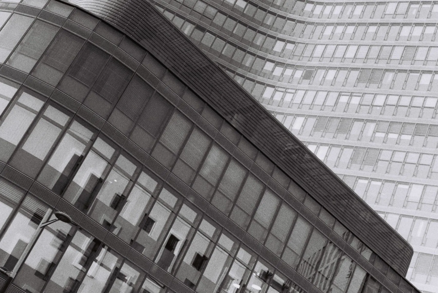 Shop Berlin Kino B&W 35 mm ISO 400 Kino B&W Family|35 Mm Film