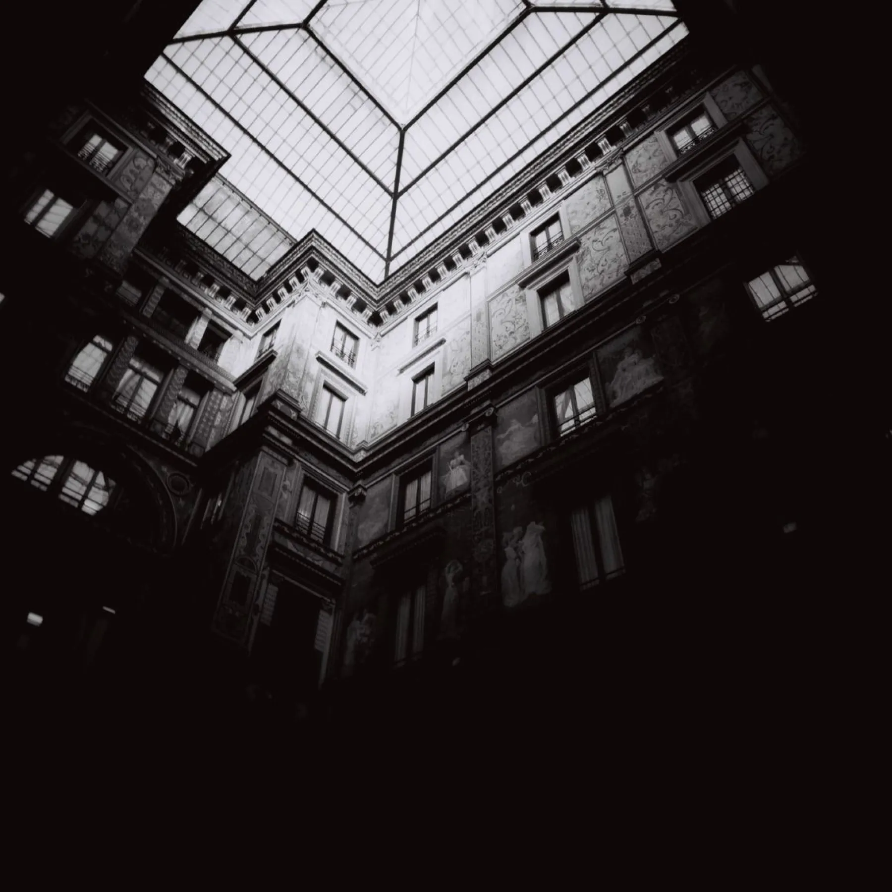 Sale Earl Grey B&W 120 ISO 100 – Pack of 3 120 Film