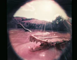 Store Fisheye Baby 110 Gold Experimental|110 Cameras