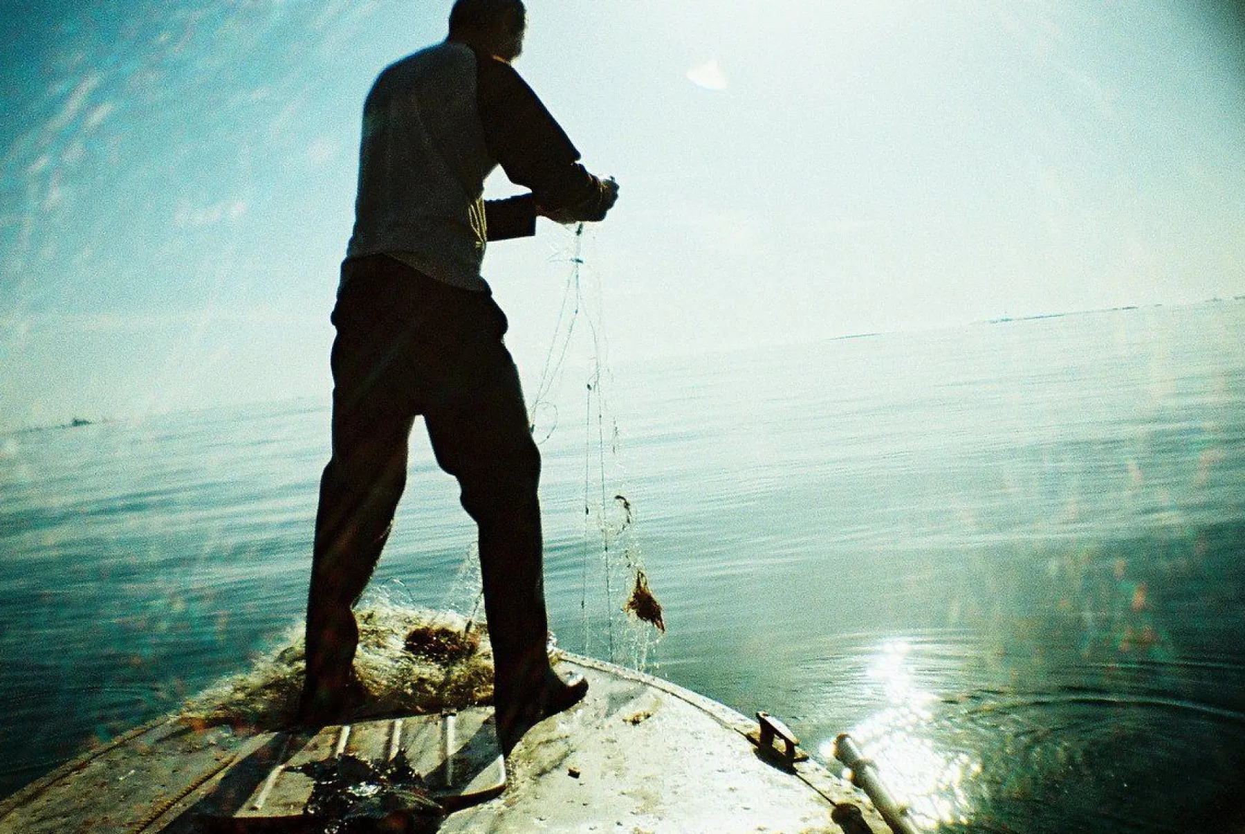Cheap La Sardina Camera & Flash DIY Experimental