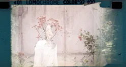 Discount LomoChrome Color ’92 Sun-kissed 110 ISO 400 Lomochrome Films|Lomomatic 110