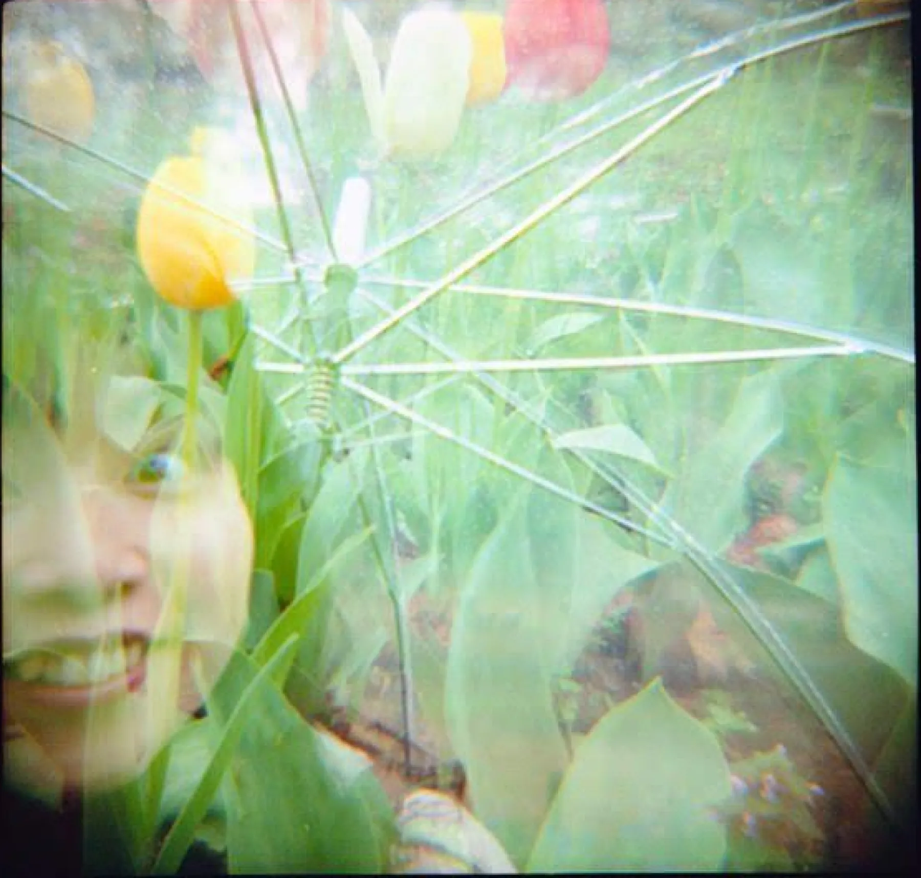 Clearance Color Negative 120 ISO 800 Single Pack 120 Film