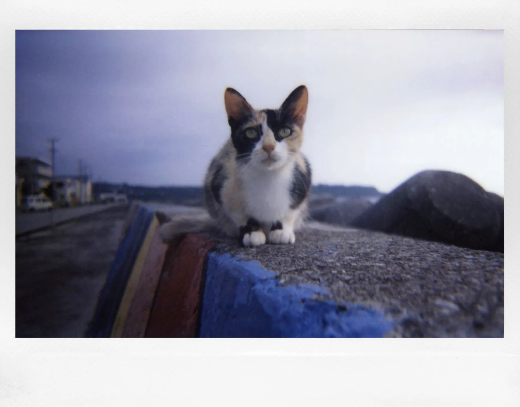 Online Lomo’Instant Wide Camera & Lenses Central Park Edition Cameras