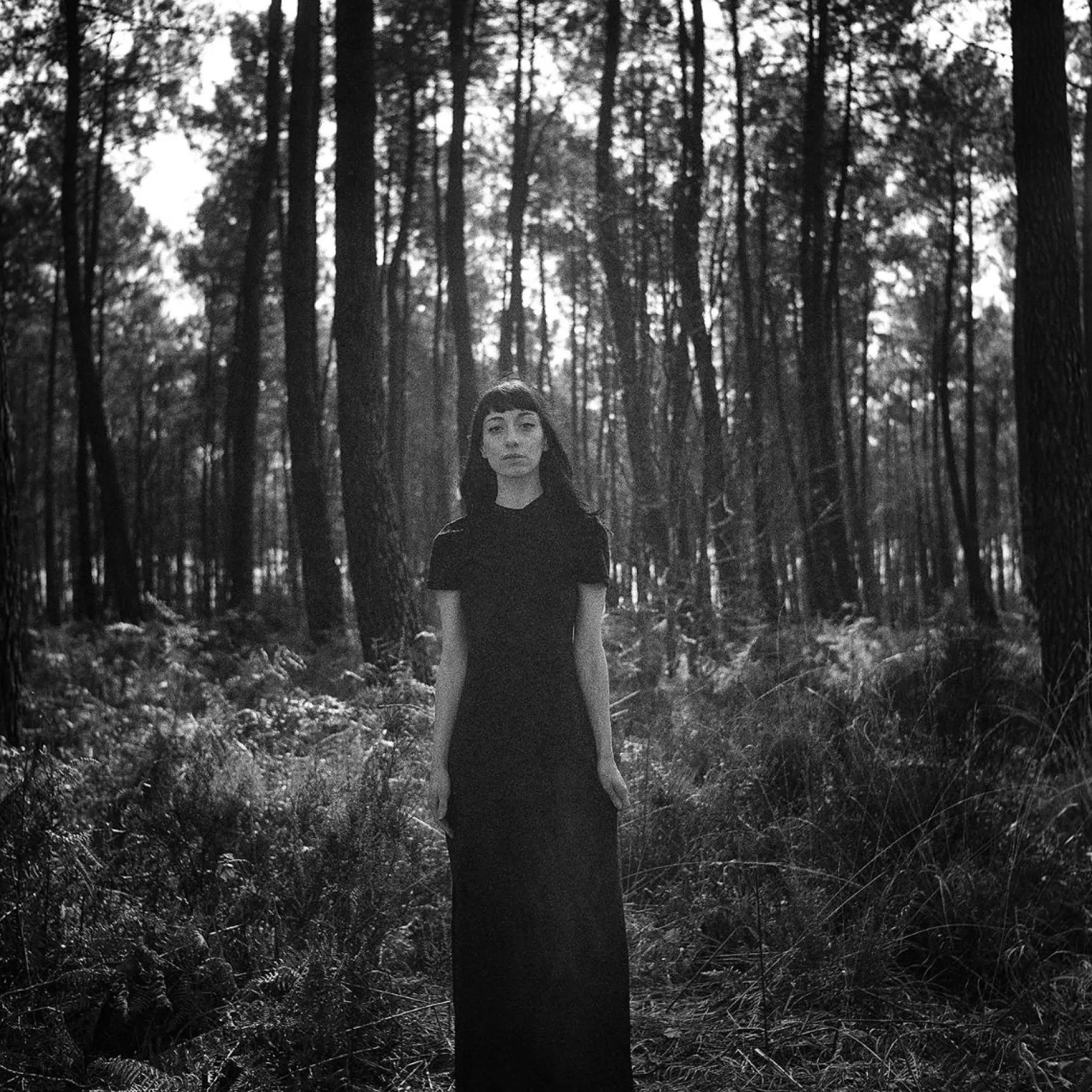 Discount Potsdam Kino B&W 120 ISO 100 Kino B&W Family|120 Film