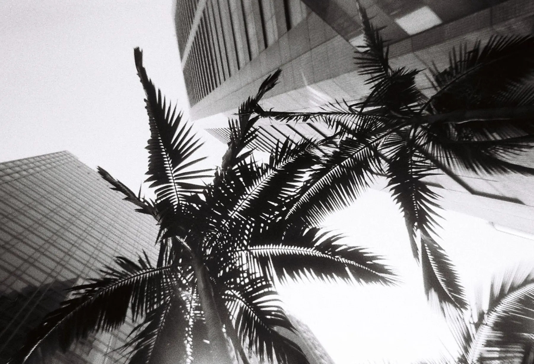 New Simple Use Reloadable Film Camera Black & White Simple Use