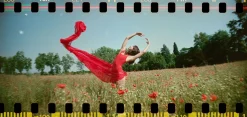 Fashion Sprocket Rocket 35 mm Panoramic Camera Peacock Experimental
