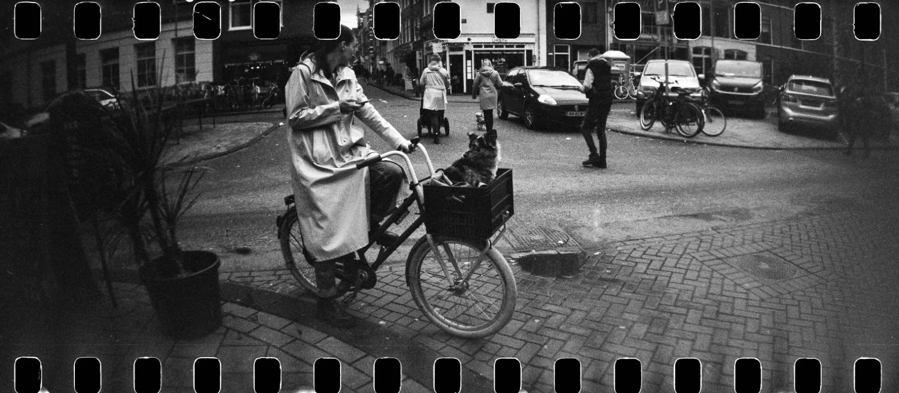 Fashion Sprocket Rocket 35 mm Panoramic Camera Peacock Experimental